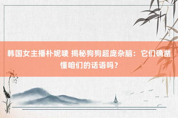 韩国女主播朴妮唛 揭秘狗狗超庞杂脑：它们确凿懂咱们的话语吗？