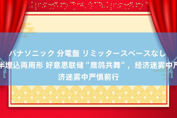 パナソニック 分電盤 リミッタースペースなし 露出・半埋込両用形 好意思联储“鹰鸽共舞”，经济迷雾中严慎前行