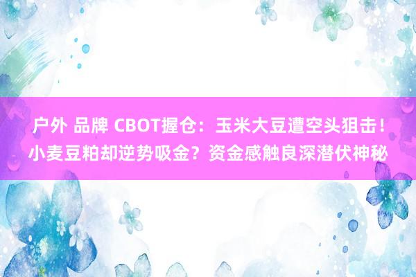 户外 品牌 CBOT握仓：玉米大豆遭空头狙击！小麦豆粕却逆势吸金？资金感触良深潜伏神秘