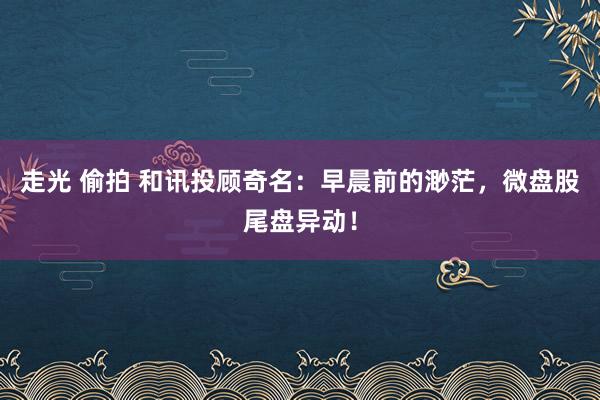 走光 偷拍 和讯投顾奇名：早晨前的渺茫，微盘股尾盘异动！