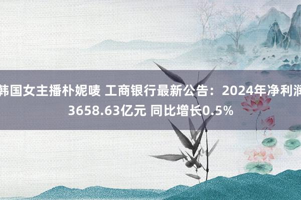 韩国女主播朴妮唛 工商银行最新公告：2024年净利润3658.63亿元 同比增长0.5%
