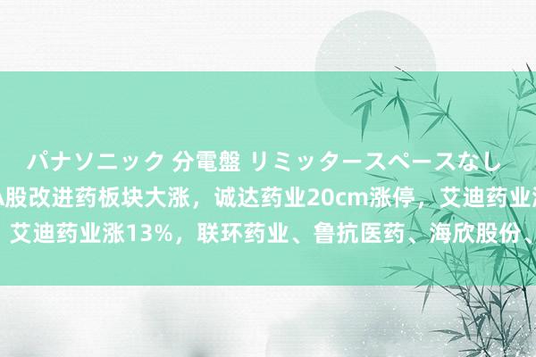 パナソニック 分電盤 リミッタースペースなし 露出・半埋込両用形 A股改进药板块大涨，诚达药业20cm涨停，艾迪药业涨13%，联环药业、鲁抗医药、海欣股份、润都股份涨停