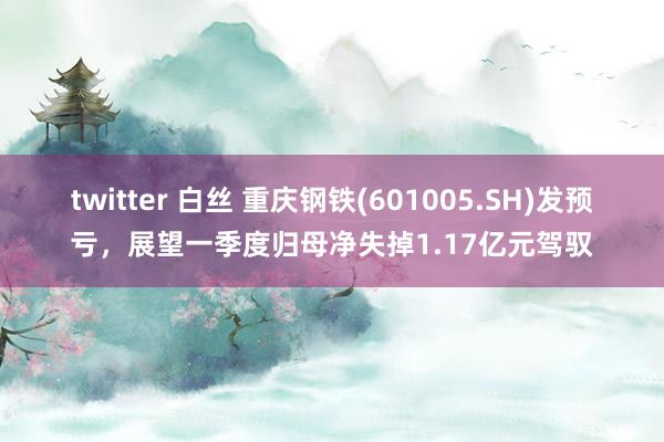 twitter 白丝 重庆钢铁(601005.SH)发预亏，展望一季度归母净失掉1.17亿元驾驭