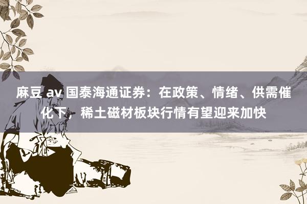 麻豆 av 国泰海通证券：在政策、情绪、供需催化下，稀土磁材板块行情有望迎来加快
