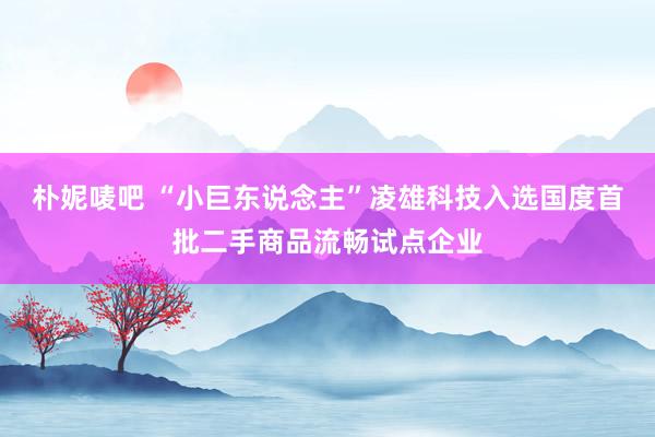 朴妮唛吧 “小巨东说念主”凌雄科技入选国度首批二手商品流畅试点企业
