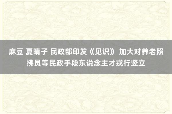 麻豆 夏晴子 民政部印发《见识》 加大对养老照拂员等民政手段东说念主才戎行竖立