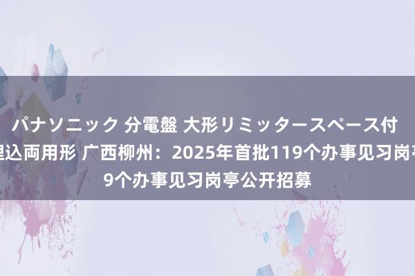 パナソニック 分電盤 大形リミッタースペース付 露出・半埋込両用形 广西柳州：2025年首批119个办事见习岗亭公开招募