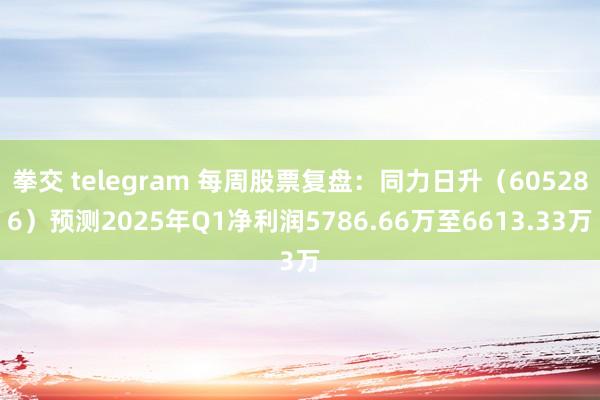 拳交 telegram 每周股票复盘：同力日升（605286）预测2025年Q1净利润5786.66万至6613.33万