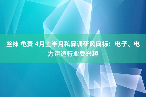 丝袜 龟责 4月上半月私募调研风向标：电子、电力建造行业受兴趣