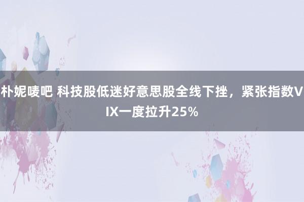 朴妮唛吧 科技股低迷好意思股全线下挫，紧张指数VIX一度拉升25%