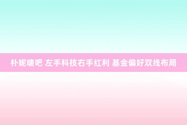 朴妮唛吧 左手科技右手红利 基金偏好双线布局