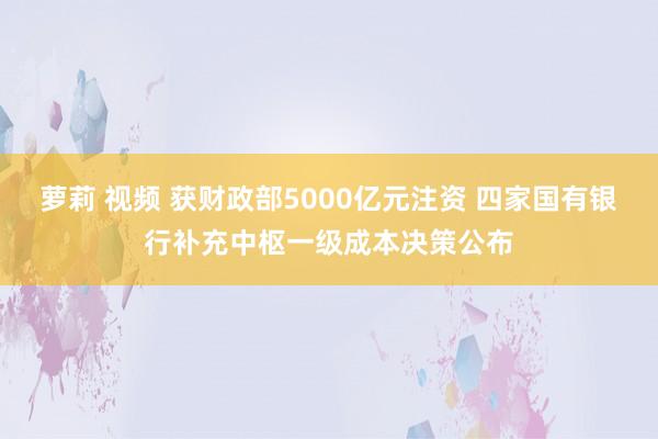 萝莉 视频 获财政部5000亿元注资 四家国有银行补充中枢一级成本决策公布