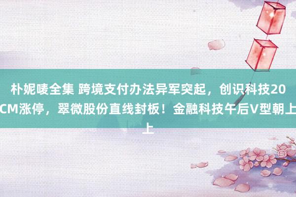 朴妮唛全集 跨境支付办法异军突起，创识科技20CM涨停，翠微股份直线封板！金融科技午后V型朝上