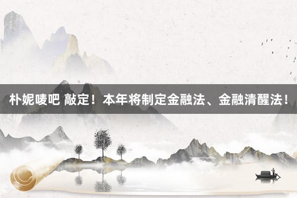 朴妮唛吧 敲定！本年将制定金融法、金融清醒法！
