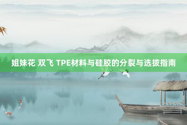 姐妹花 双飞 TPE材料与硅胶的分裂与选拔指南