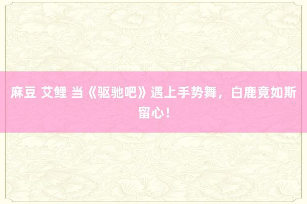 麻豆 艾鲤 当《驱驰吧》遇上手势舞，白鹿竟如斯留心！